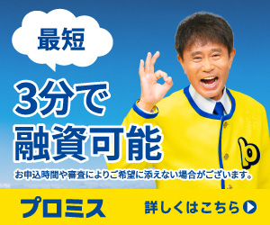 プロミス公式バナー画像
